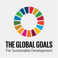 The global goals