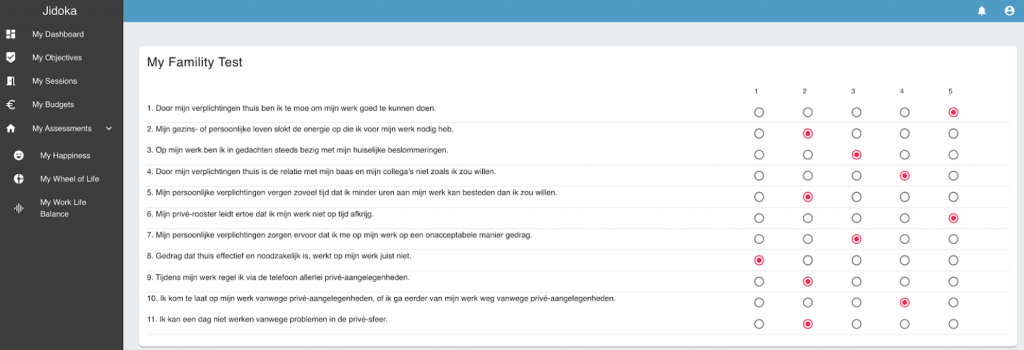 Een assessment voorbeeld op de coaching tool